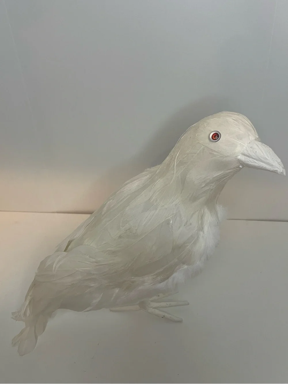 Halloween Decor - White Raven, White Crow Decorative Bird Accent